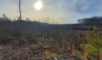 85 6+/- Acres County Road 2291, Booneville, MS 38829