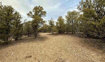 Canoncito Lane Turley Mill Lot 7, Arroyo Hondo, NM 87513