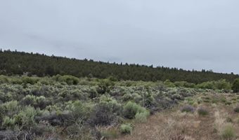 River Bank Drive, Beatty, OR 97621
