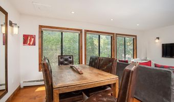 725 E Main St #309, Aspen, CO 81611