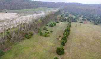 8279 Luce St, Alanson, MI 49706