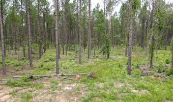 19 43 Big Rocks Rd, Antlers, OK 74523