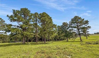 6779 County Road 215, Anderson, TX 77830