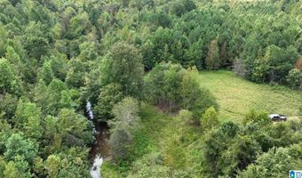 6150 SHOAL CREEK Rd 124+/- Acres, Ashville, AL 35953