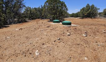 ACR N8388 and N8385, Concho, AZ 85924