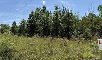 Lot # 1 - 6.2 Ac Perry Horton, Adrian, GA 31002