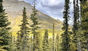 B005 Packsaddle Road, Chickaloon, AK 99674