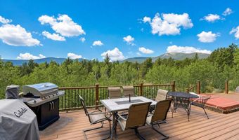 338 County Road 84 W, Allenspark, CO 80510