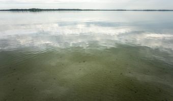 8272 Sugar Sand Ln NW, Alexandria, MN 56308