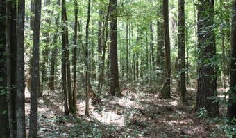 00 Pinola Braxton Rd, Braxton, MS 39044