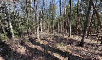 Prospect Street, Bethlehem, NH 03574