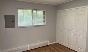 913 Evelyn Ct, Ann Arbor, MI 48103