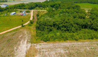 0 Tract 2 Lake Mayers, Baxley, GA 31513