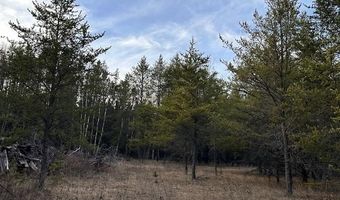 TBD Hwy 21, Babbitt, MN 55706