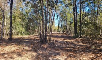 Tommy Tucker Road lot 3, Altha, FL 32421