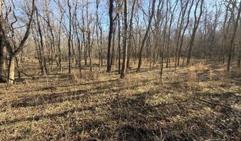 36 Ac Hagee Rd, Anderson, MO 64831