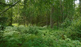15032 W Necrason Dr, Big Lake, AK 99652