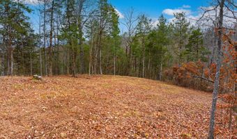 1556 Hollow Springs Rd, Baneberry, TN 37890