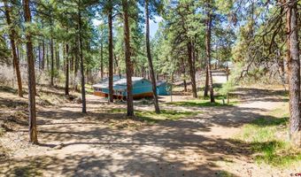 704 Timber Dr, Bayfield, CO 81122