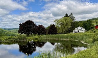 240 Dowie Rd, Andes, NY 13731
