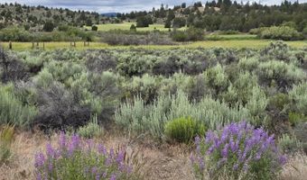 River Bank Drive, Beatty, OR 97621