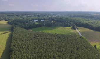0 County Road 93, Anderson, AL 35610
