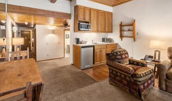 301 E Hyman Avenue 202, Aspen, CO 81611