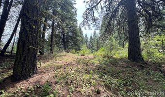 Tbd Hilltop Rd, Cascade, ID 83611