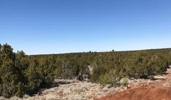 Lot 20 Idlewild Ranch 20, Concho, AZ 85924