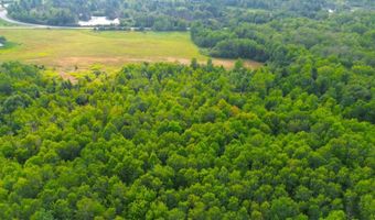 County Road Y, Aniwa, WI 54408
