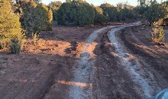 SW N8716, Concho, AZ 85924