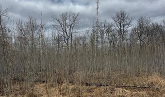 TBD40 Township Road 5743, Alborn, MN 55702