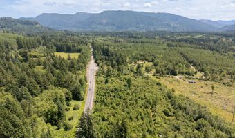 Lewis River Rd, Ariel, WA 98603