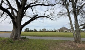 Vinson Ray Road, Baker, FL 32531