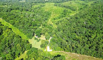 233 Happy Hollow Rd Rd, Anderson, MO 64831