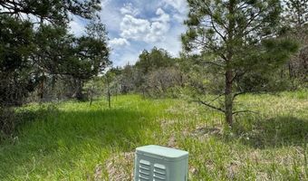 TBD-2 Vine Mesa Ave, Beulah, CO 81023