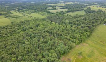 748 Puckett Rd, Anderson, MO 64831