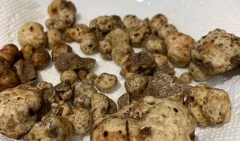 25308 NW MOUNTAIN Dr, Banks, OR 97106