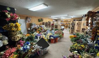 161 Blackshear Hwy, Baxley, GA 31513