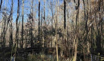 793 Puncheon Creek Dr, Andrews, SC 29510