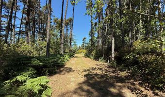87219 BEACH Ln, Bandon, OR 97411