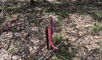 SW Auburn Drive, Bogue Chitto, MS 39629