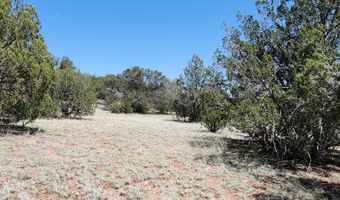 Lot 13 Ranch And Cattle, Ash Fork, AZ 86320