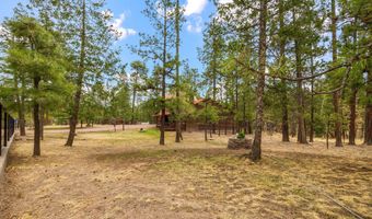 9 Co Rd 2074 # 2074, Alpine, AZ 85920