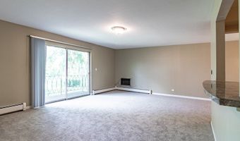 711 E Falcon Dr 201, Arlington Heights, IL 60005