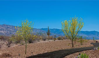 8564 S PLACITA REATA, Vail, AZ 85641