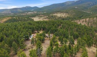 901 CR 64, Bailey, CO 80421