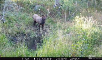 Old Flowers Rd, Bellvue, CO 80512