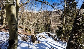 944 Roberts Rd, Alma, CO 80420