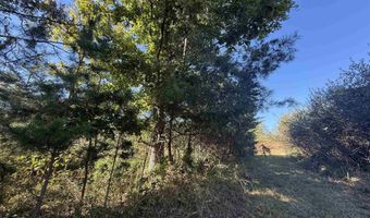 17 18 19 20 21 Chrystal Ln, Barboursville, WV 25504